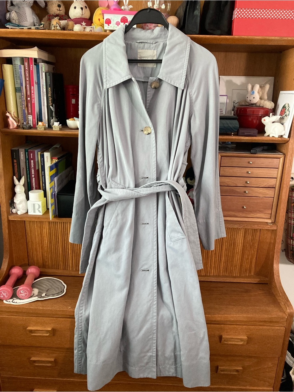 Everlane muted baby blue trench XS